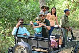 Jim Corbett Safari Booking