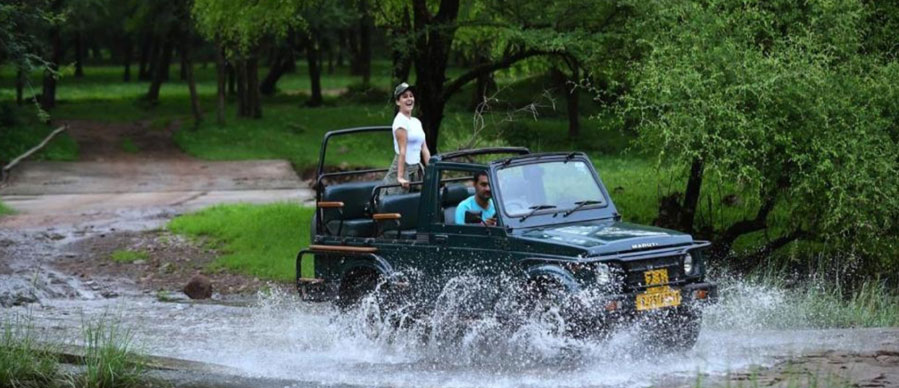 Jim Corbett tour packages