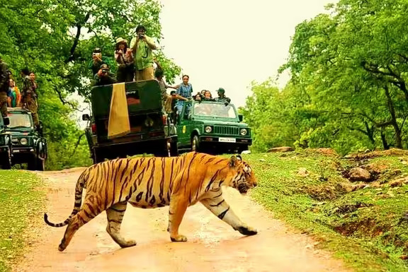 Jim Corbett National Par