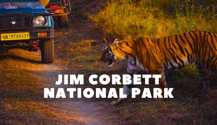 Corbett National Park